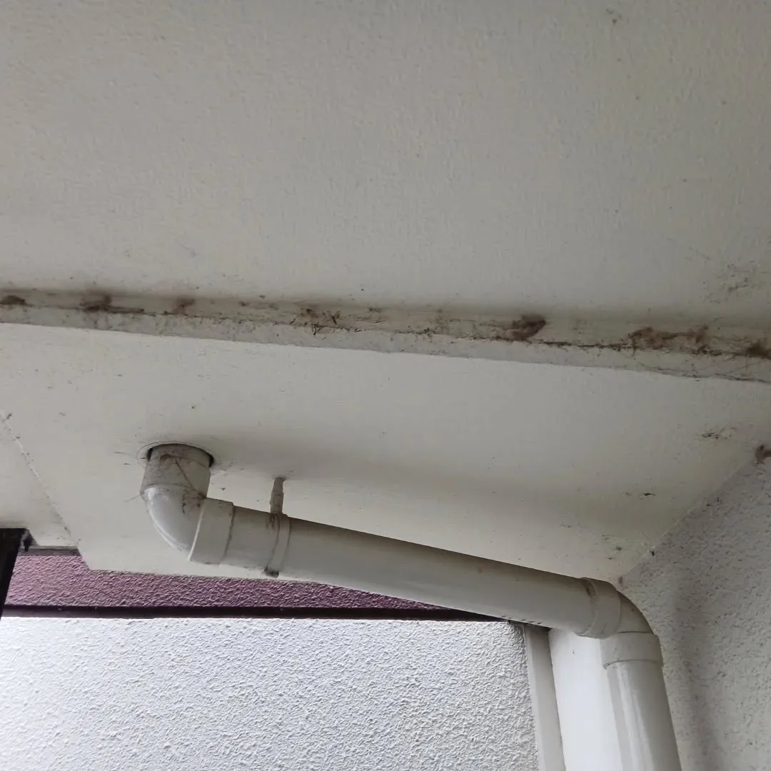 お疲れ様です🌧️。