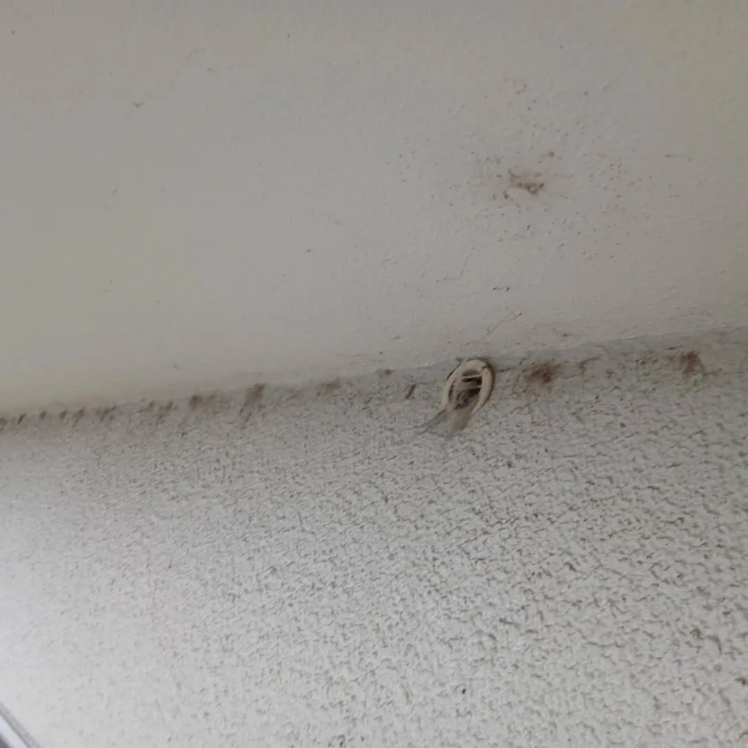 お疲れ様です🌧️。