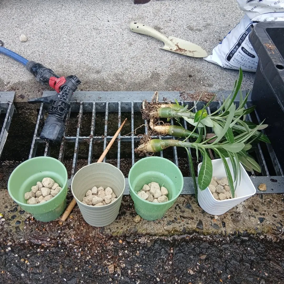 皆様お疲れ様です😊✨本日もY'sCleanUpは仕事を一生懸...