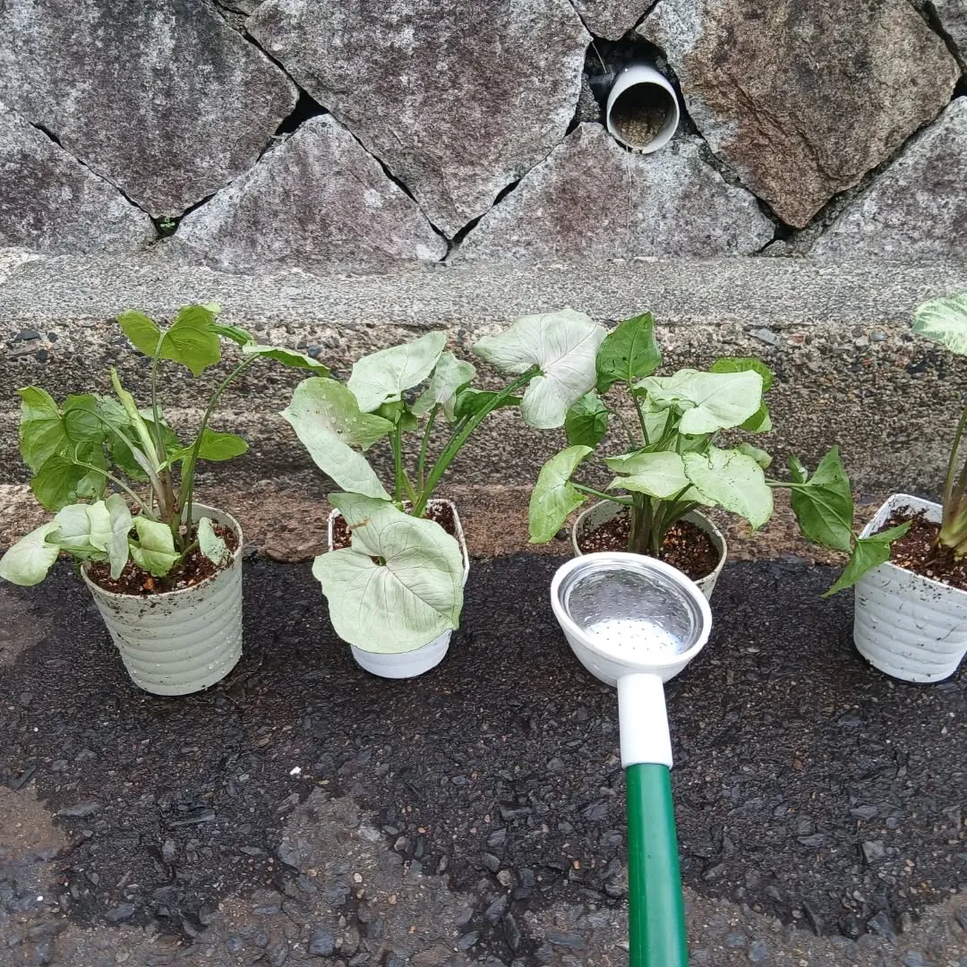 皆様お疲れ様です😊✨本日もY'sCleanUpは仕事を一生懸...