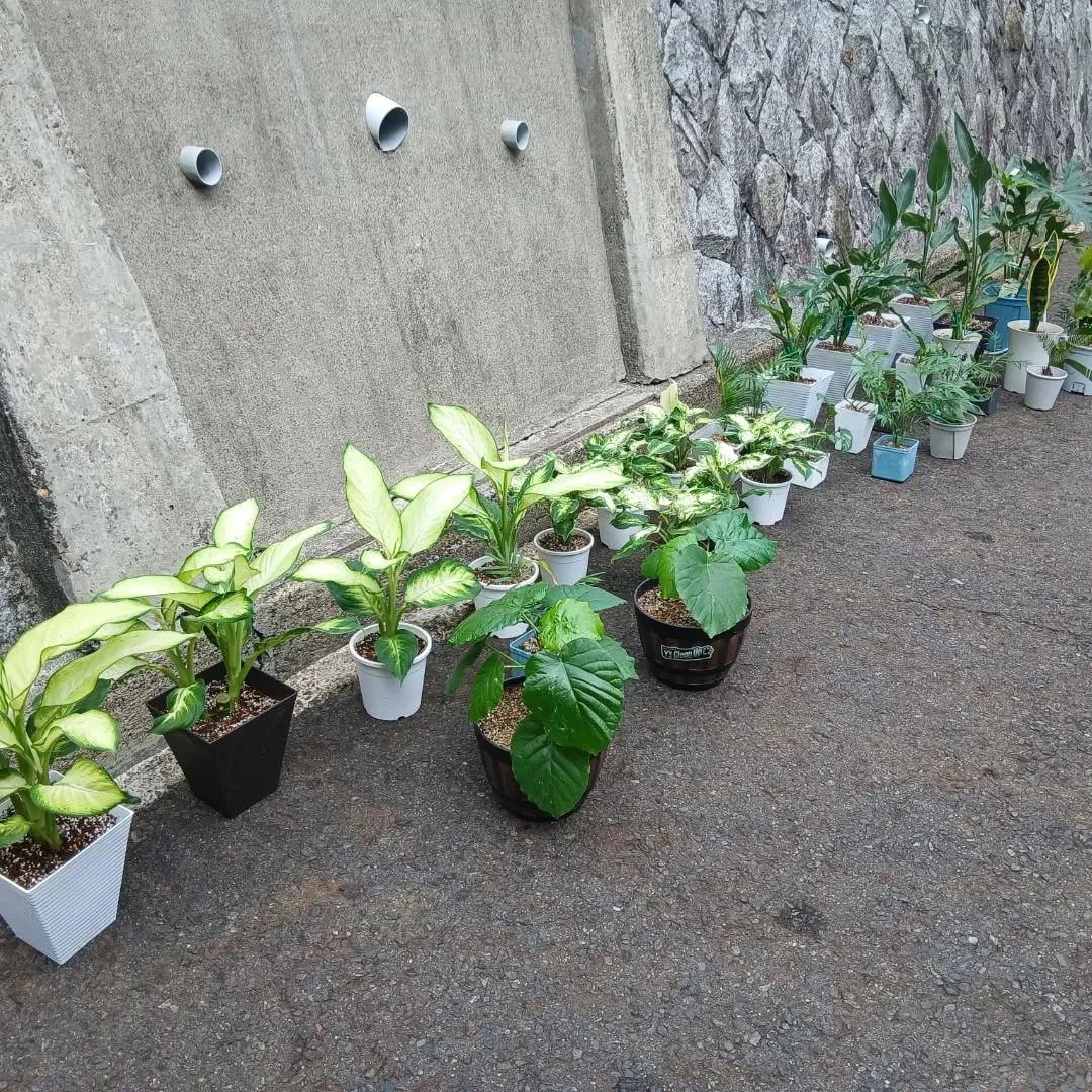 皆様お疲れ様です😊✨本日もY'sCleanUpは仕事を一生懸...