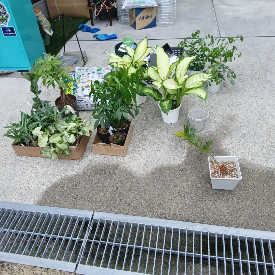 皆様お疲れ様です😊✨本日もY'sCleanUpは仕事を一生懸...