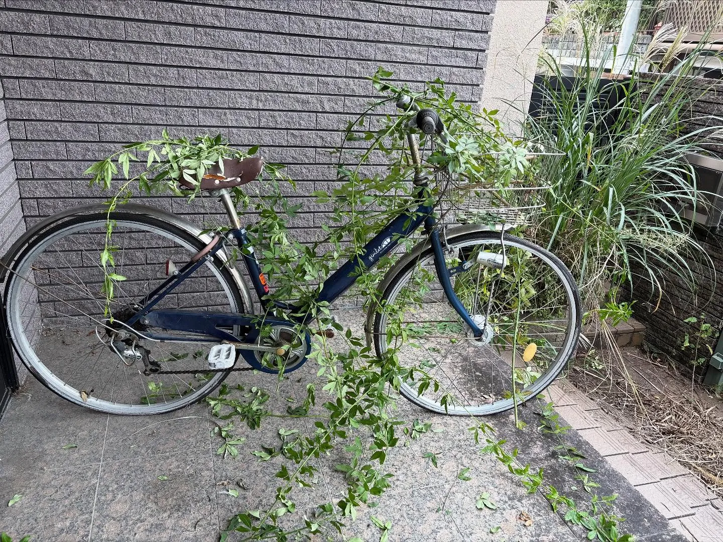 お疲れ様です。