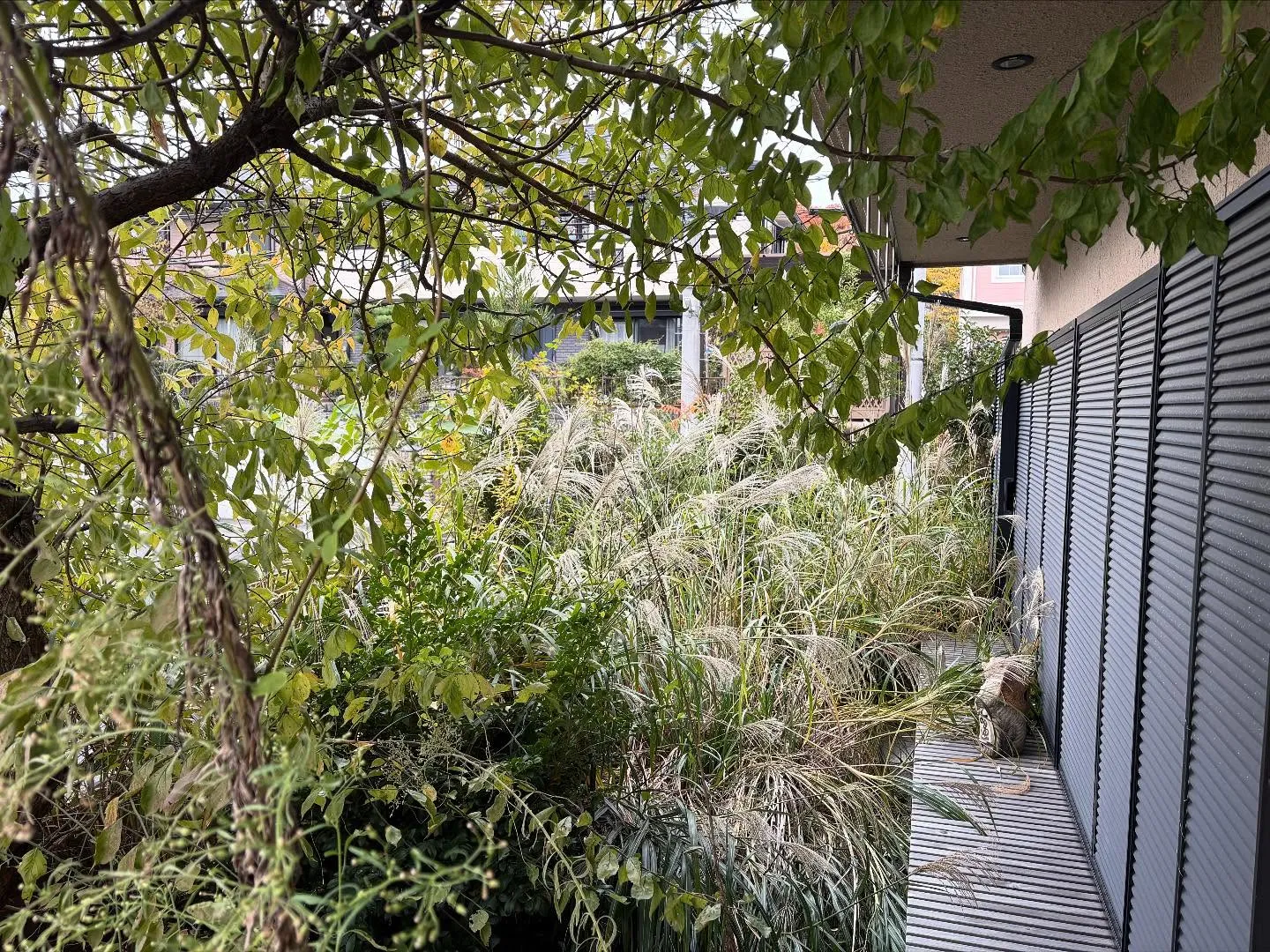 お疲れ様です。