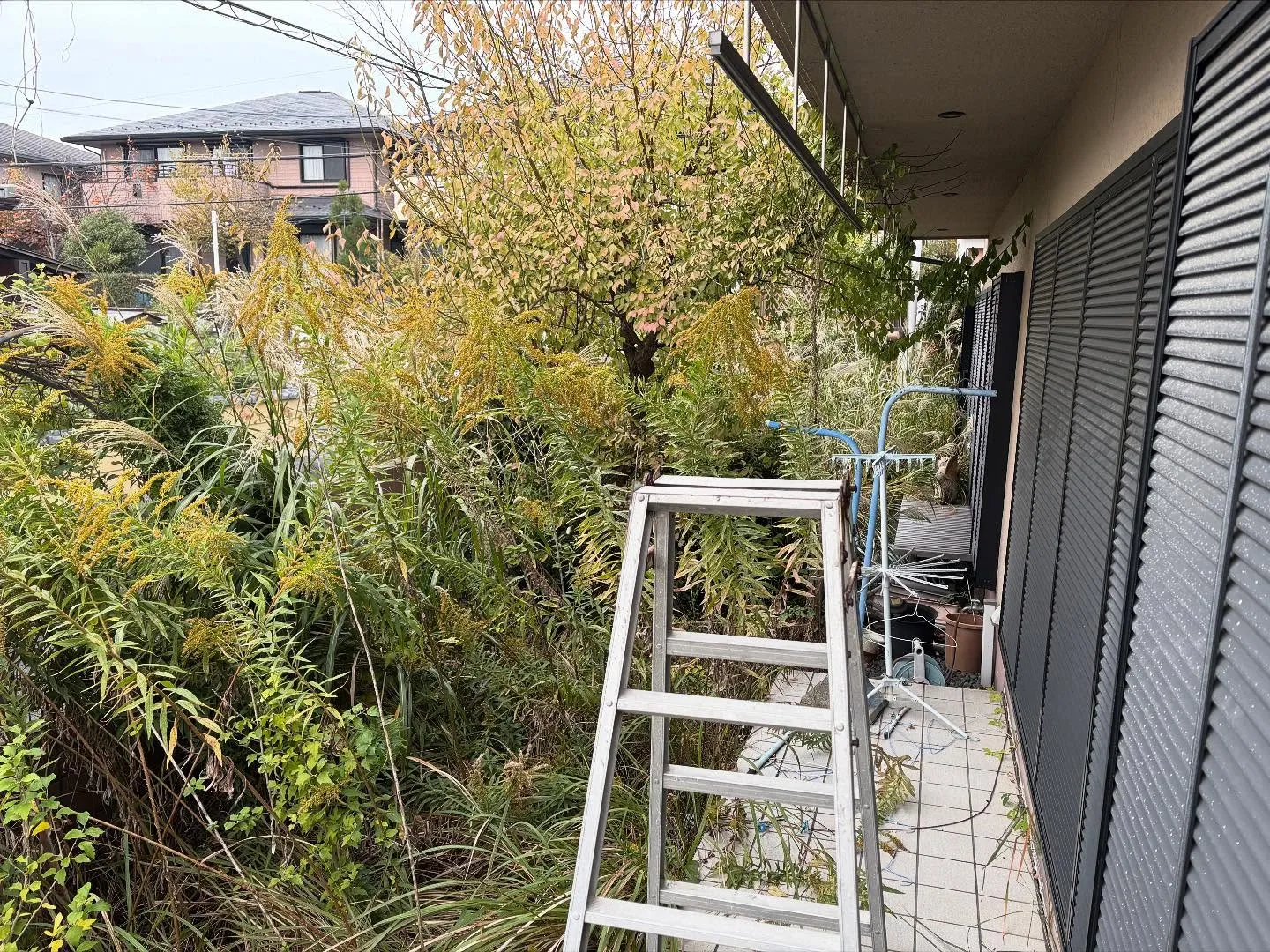 お疲れ様です。