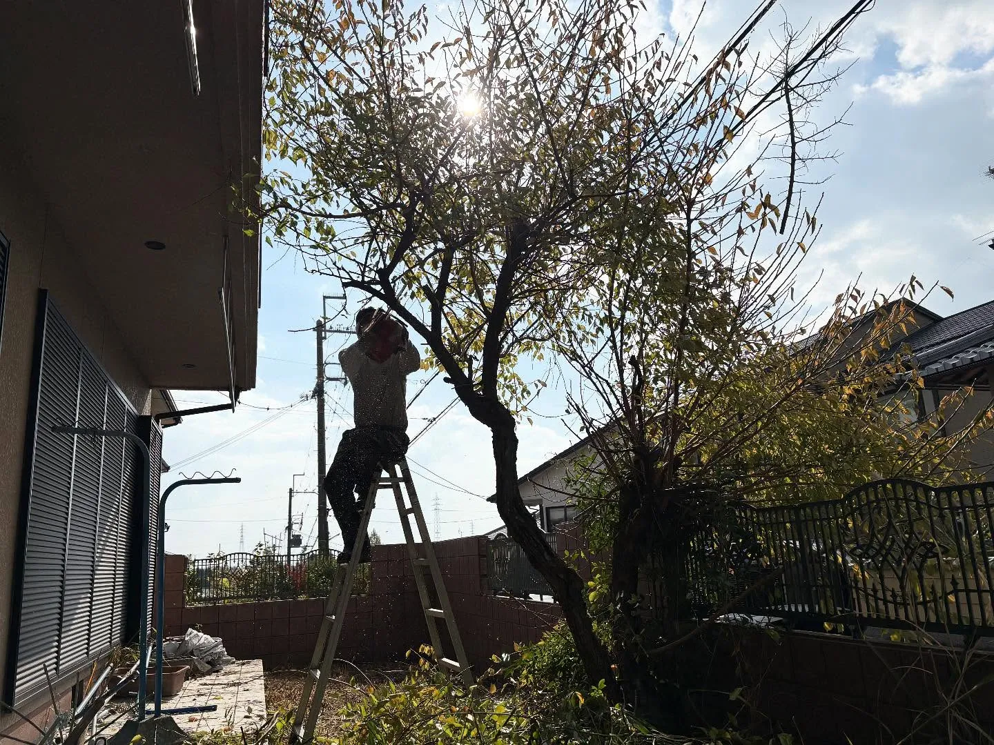 お疲れ様です😊。