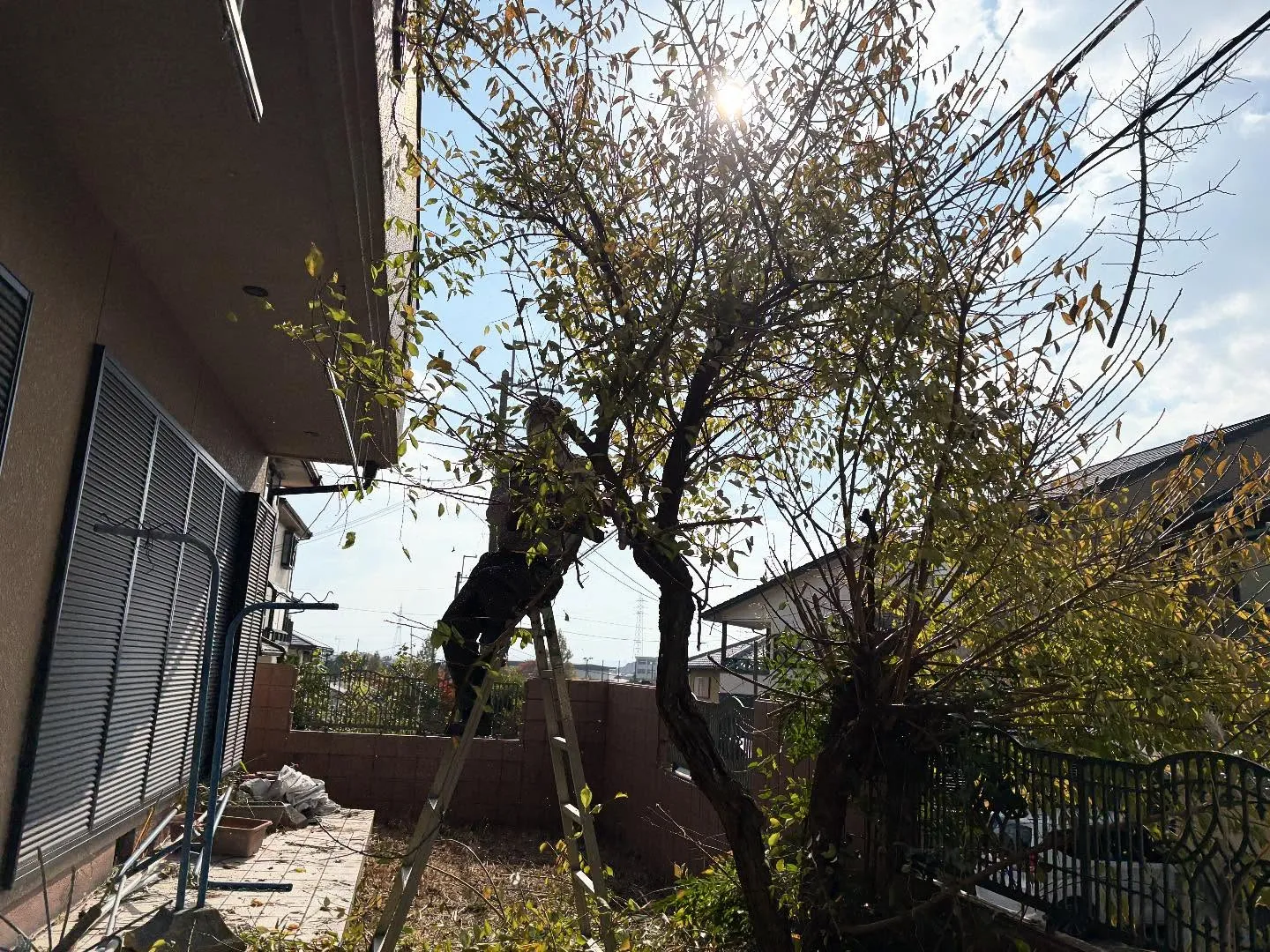 お疲れ様です😊。