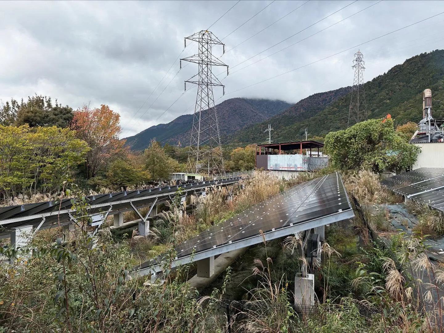 お疲れ様です。