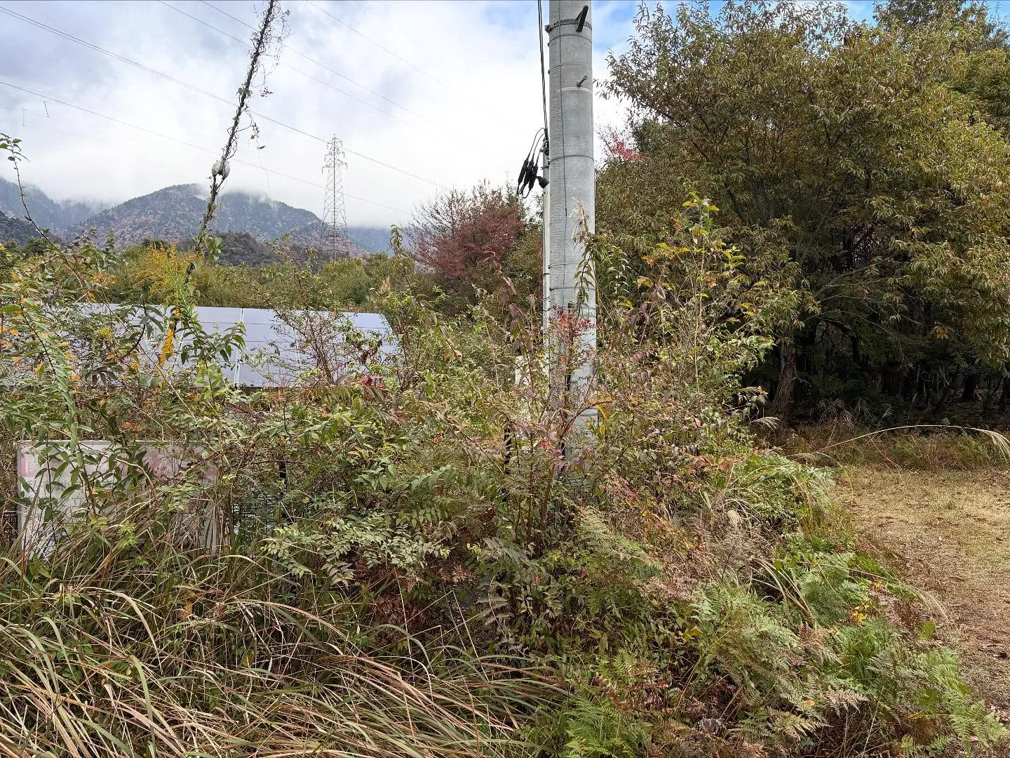 お疲れ様です。