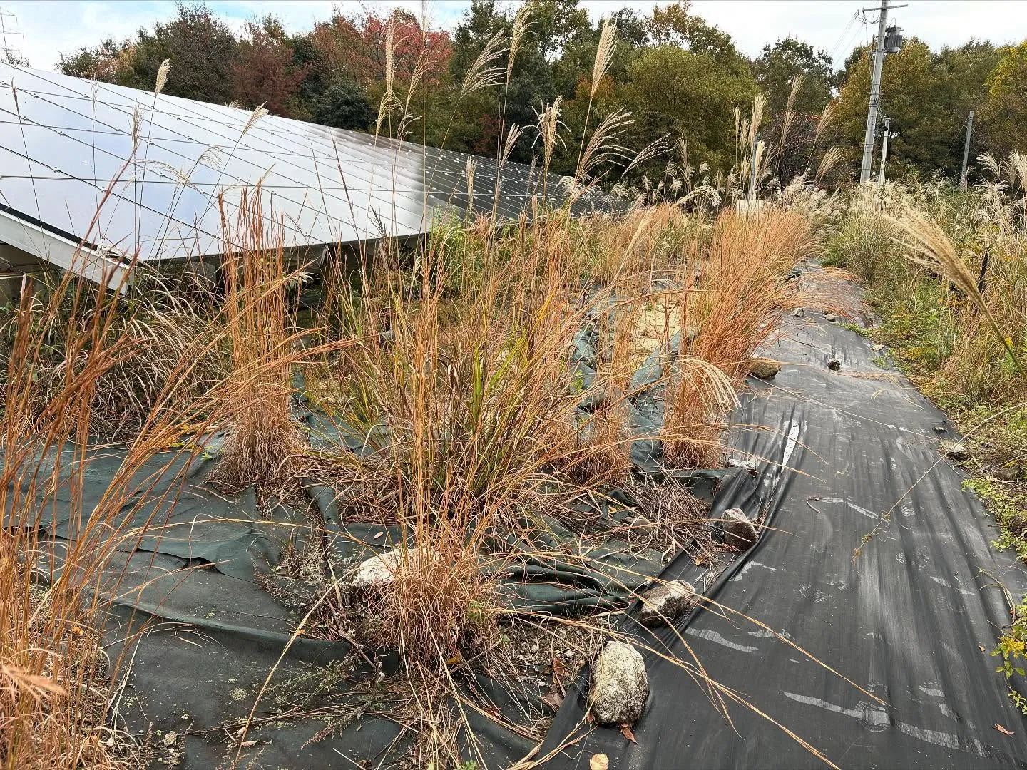 お疲れ様です。