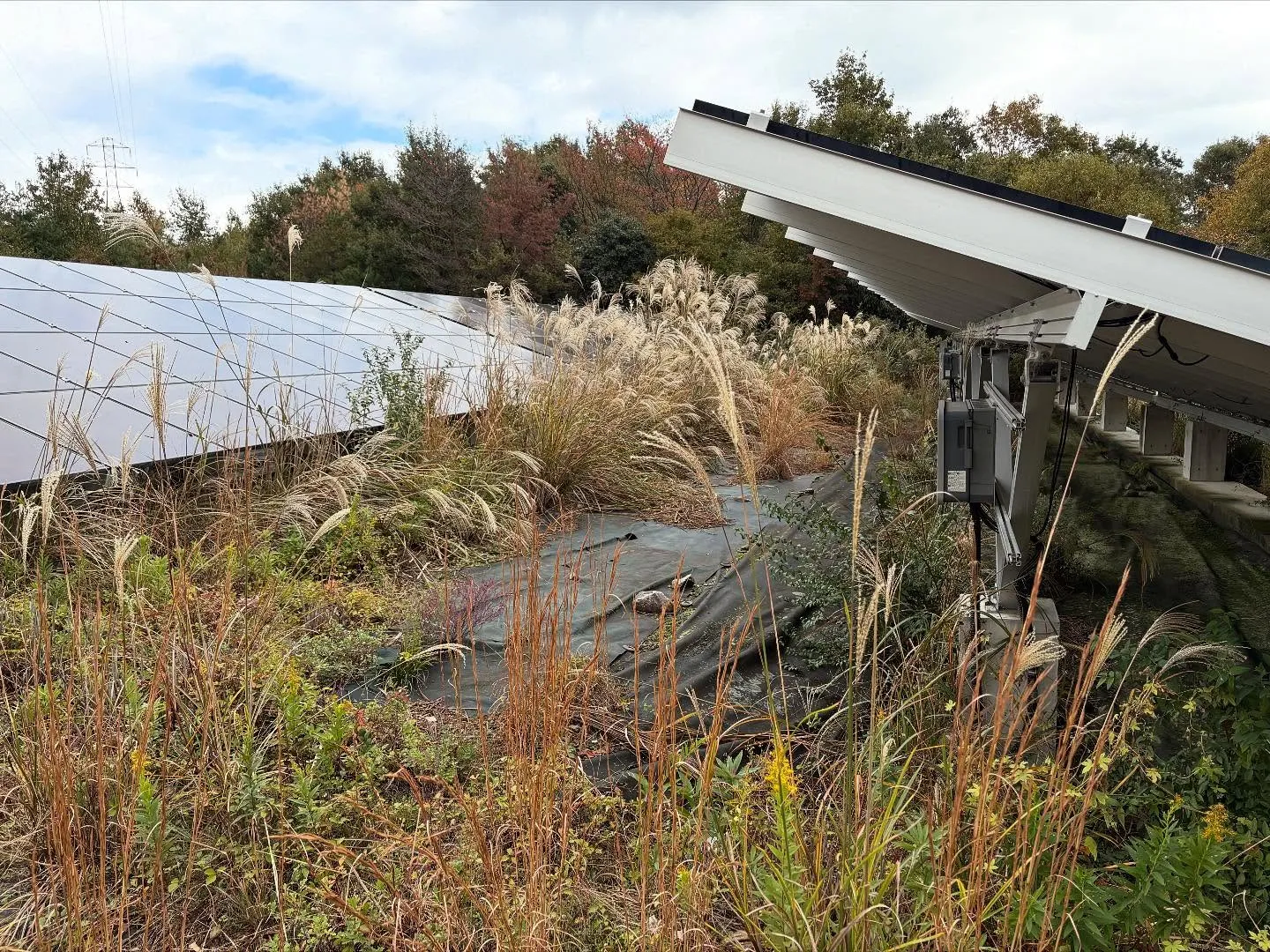 お疲れ様です。