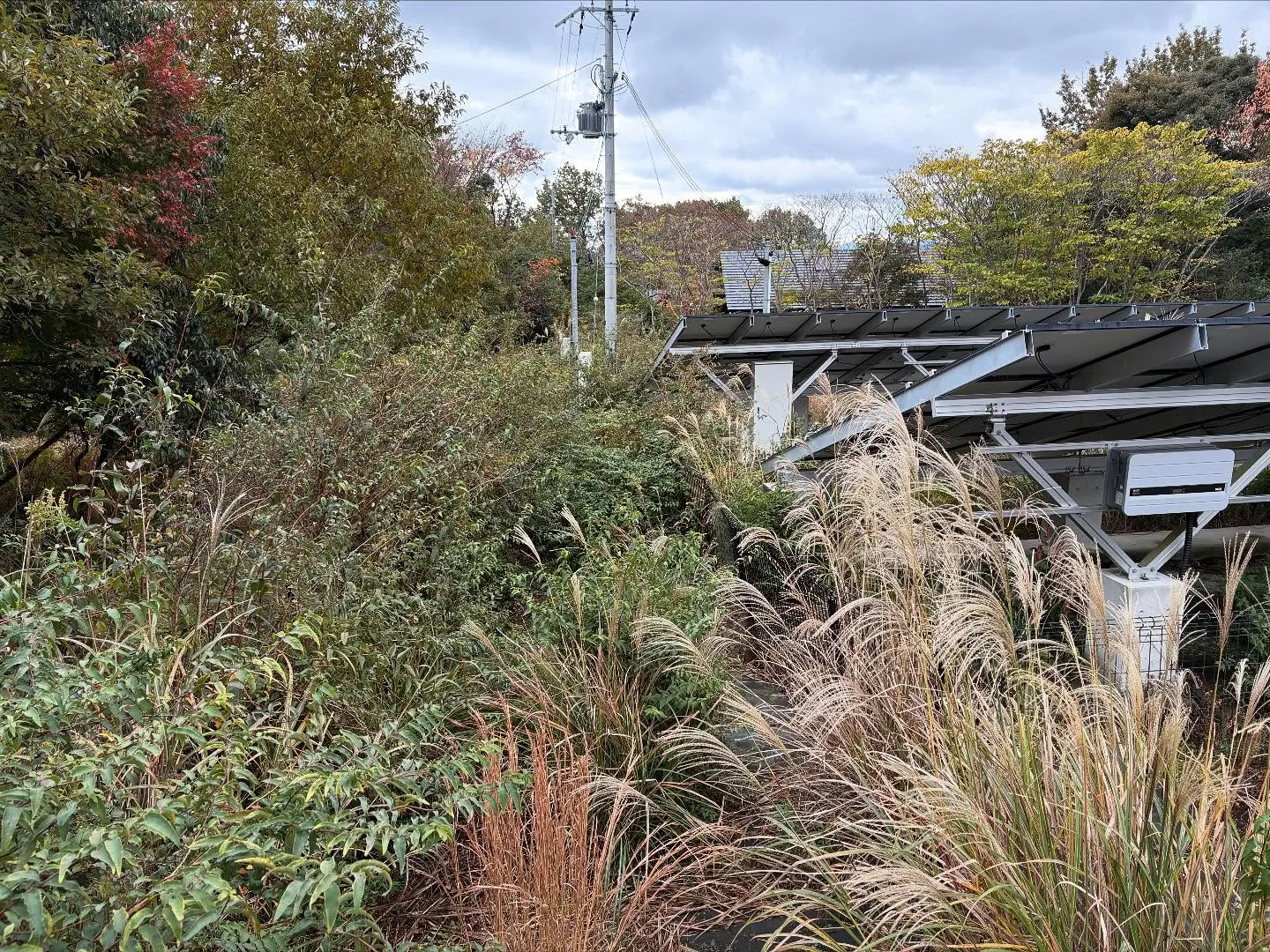 お疲れ様です。