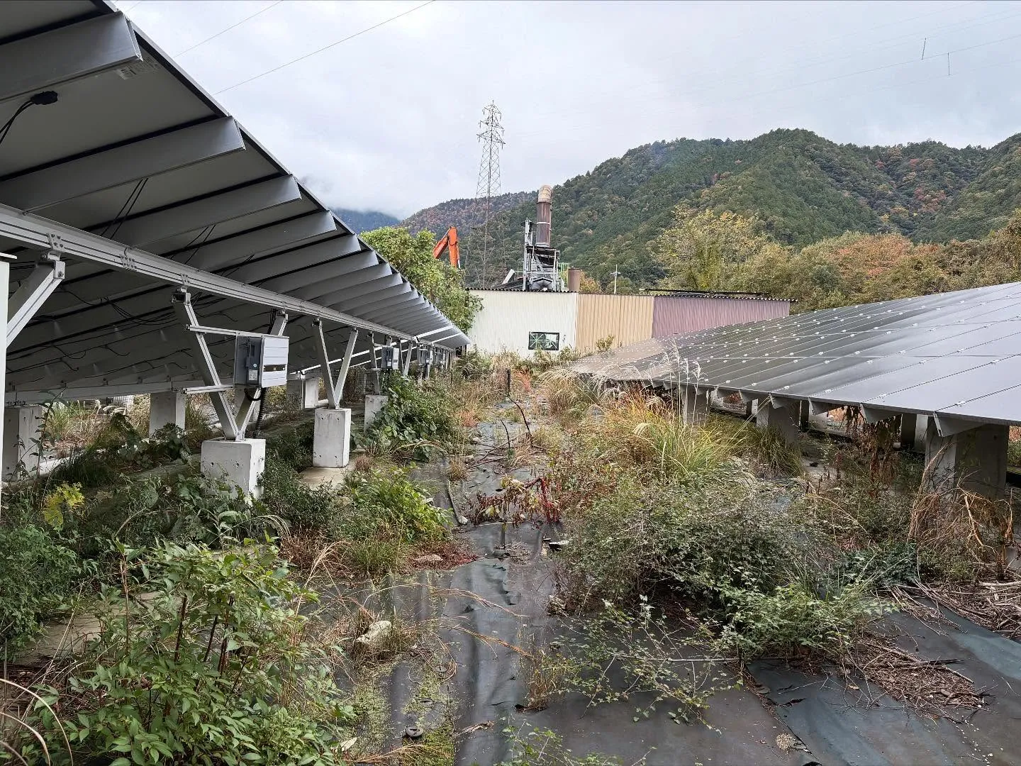 お疲れ様です。