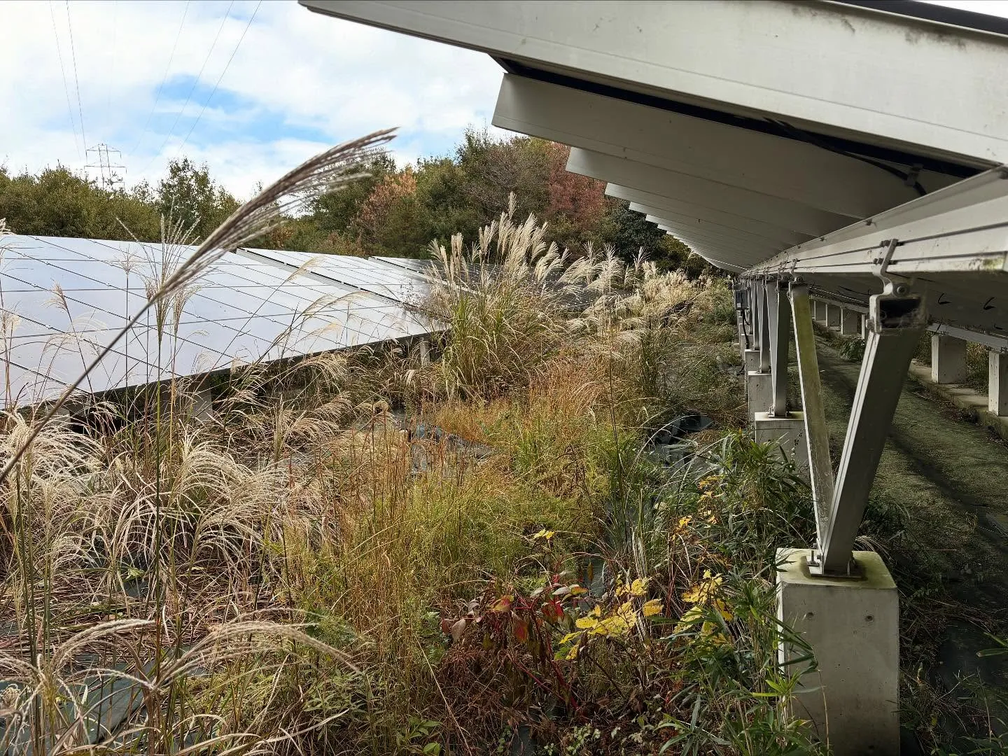 お疲れ様です。