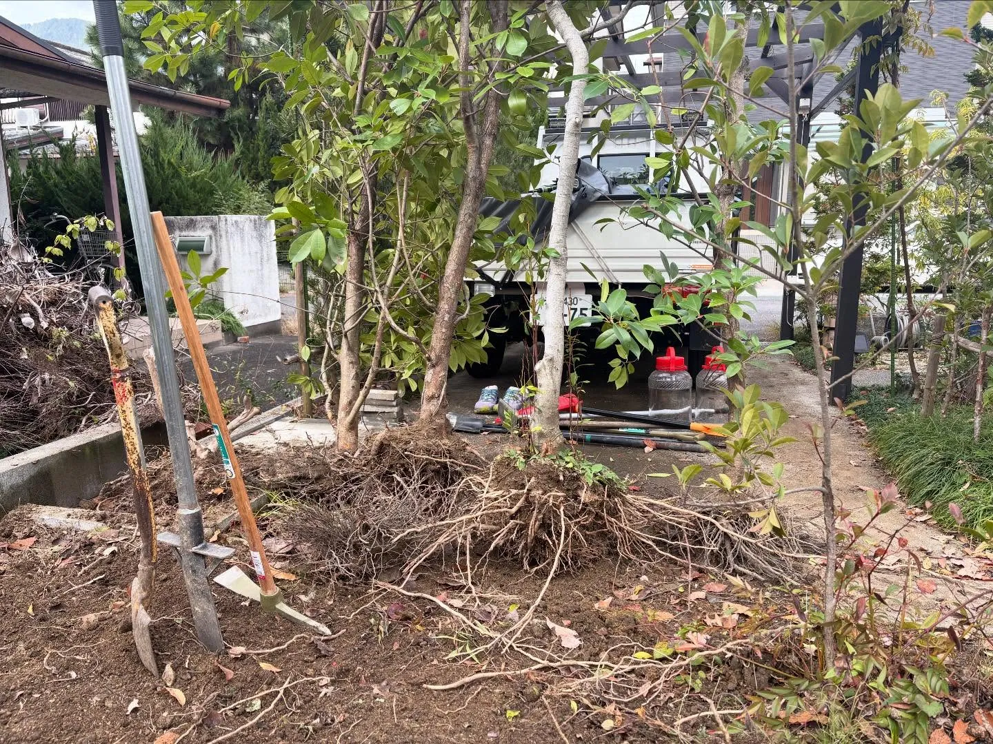 お久しぶりです😊y'sclean upです。