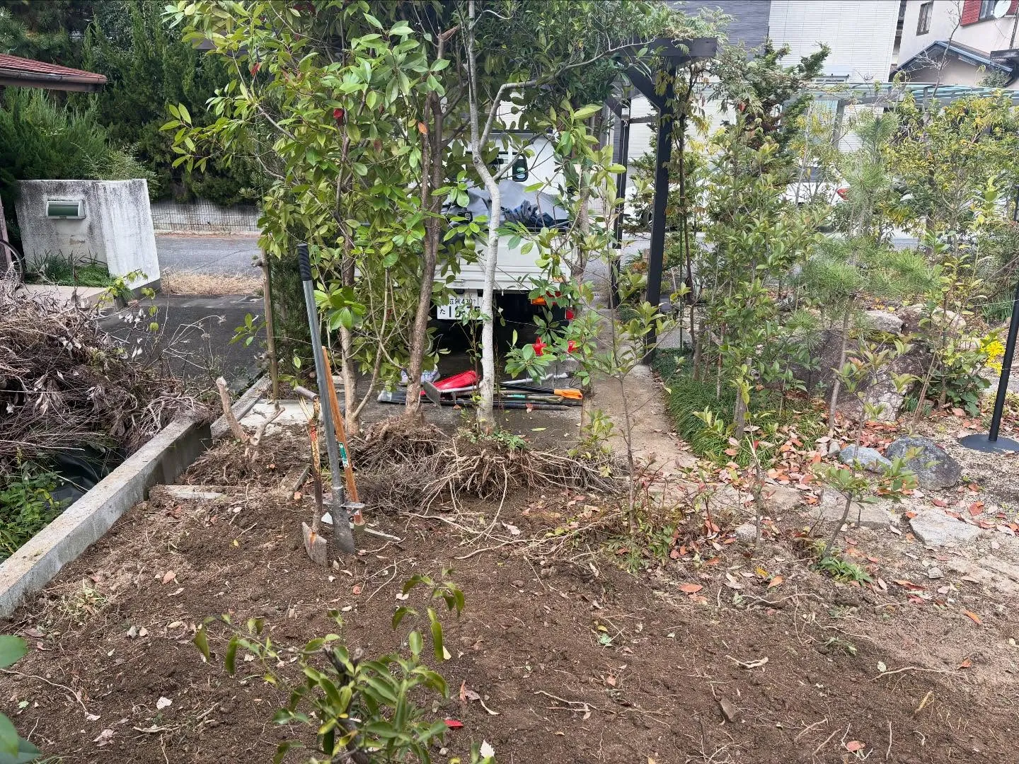 お久しぶりです😊y'sclean upです。