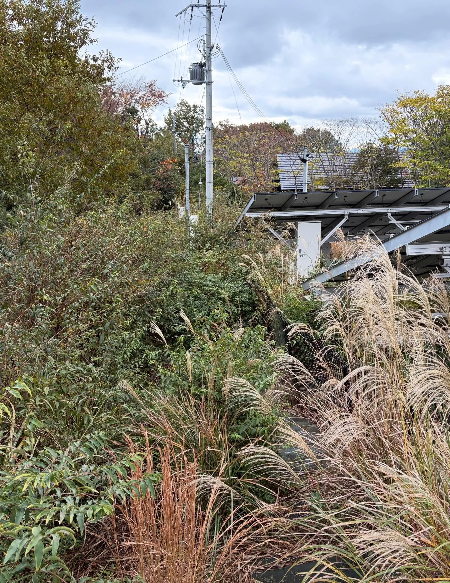 お疲れ様です！今日はy'sclean upが誇るチームが新た...