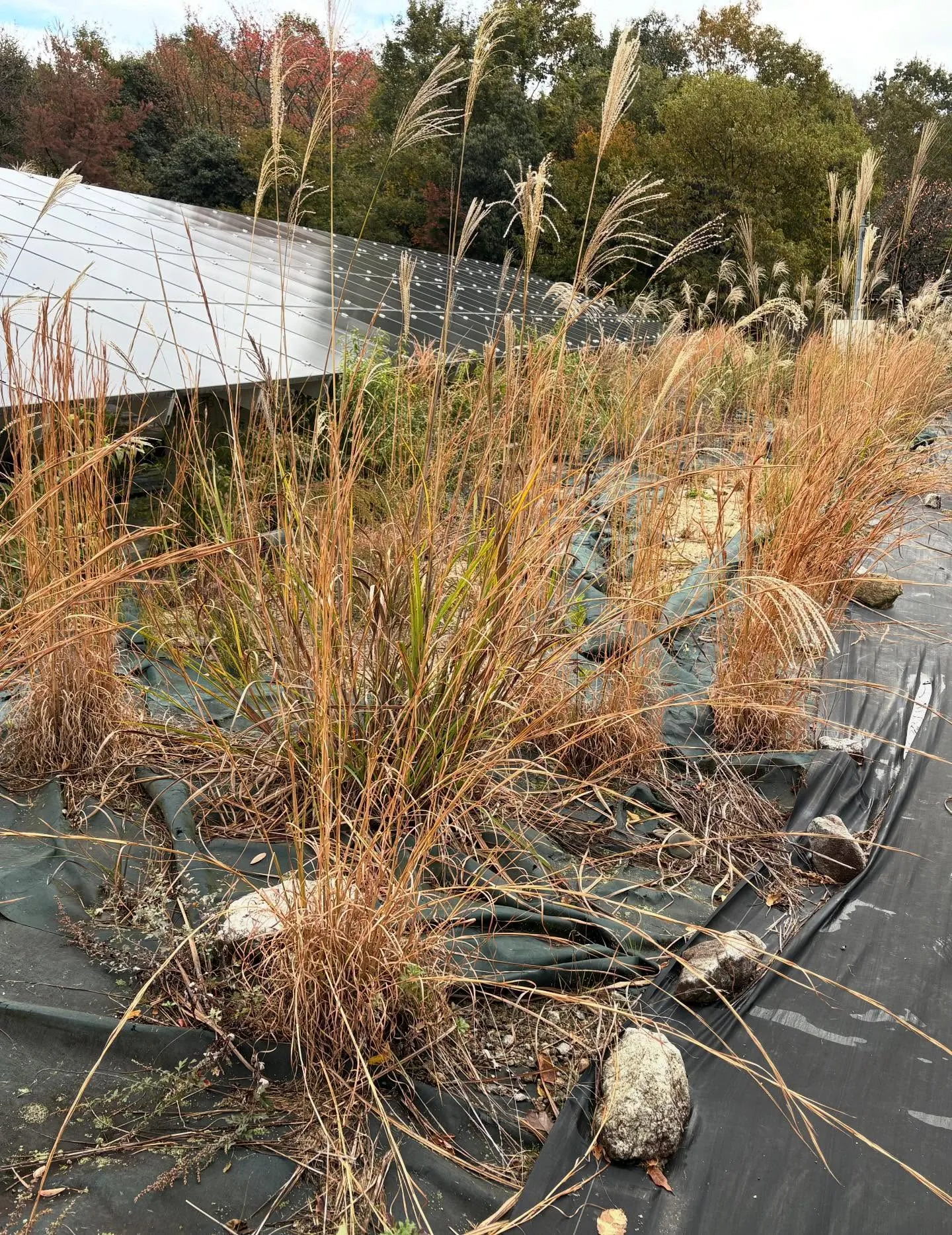 お疲れ様です！今日はy'sclean upが誇るチームが新た...