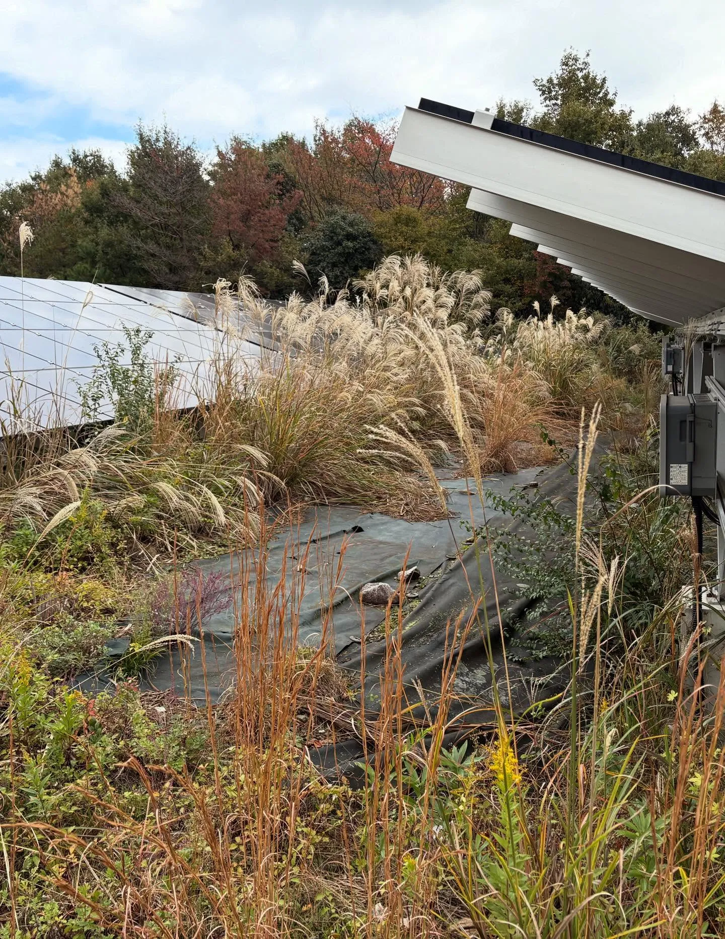 お疲れ様です！今日はy'sclean upが誇るチームが新た...