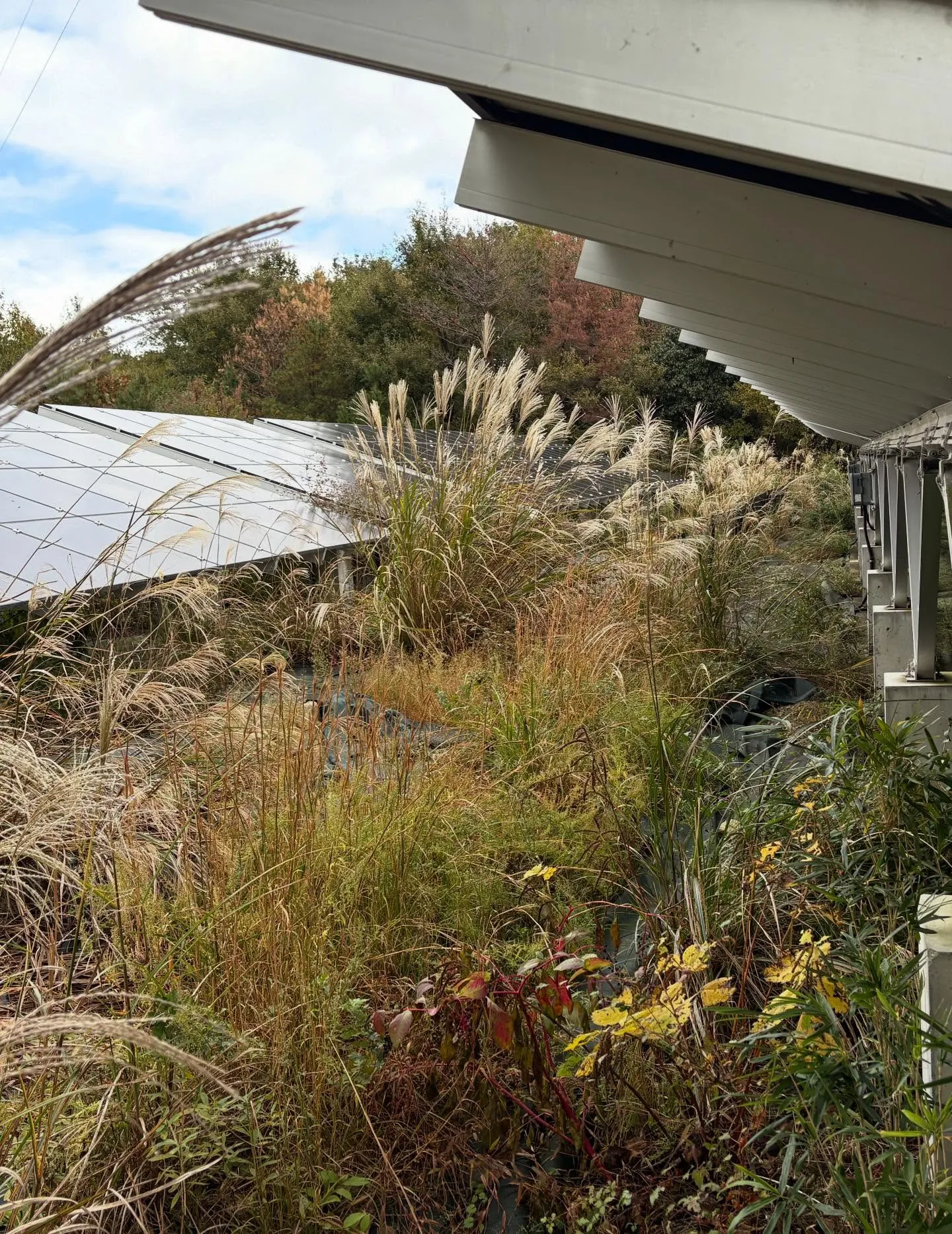 お疲れ様です！今日はy'sclean upが誇るチームが新た...