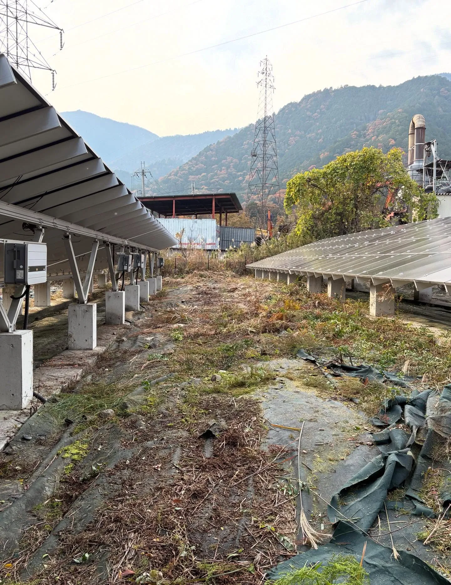 お疲れ様です！今日はy'sclean upが誇るチームが新た...