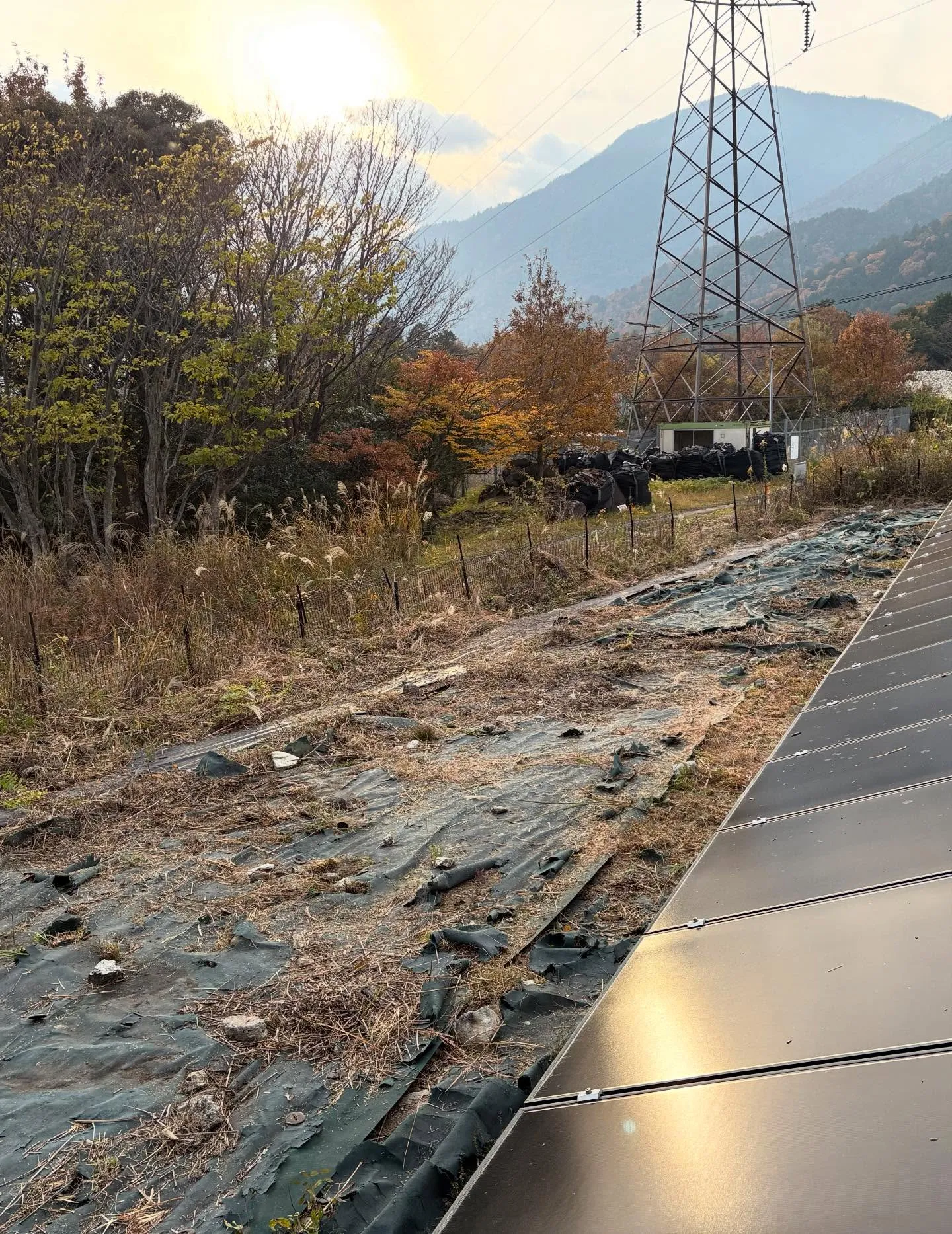 お疲れ様です！今日はy'sclean upが誇るチームが新た...