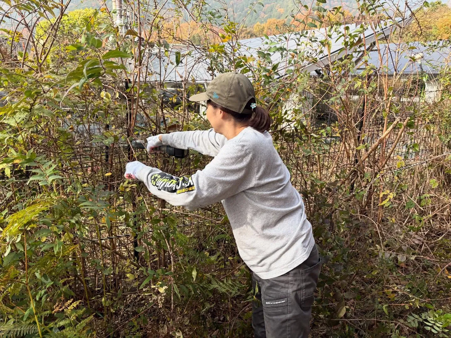 皆様、お疲れ様です😊。