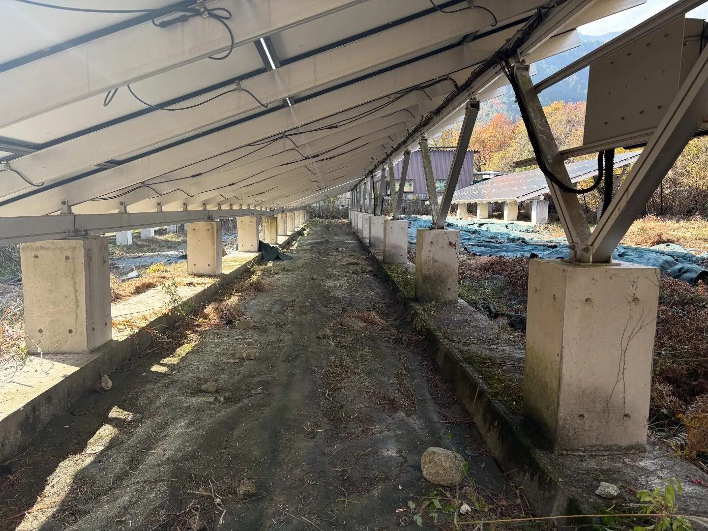 皆様、お疲れ様です😊。