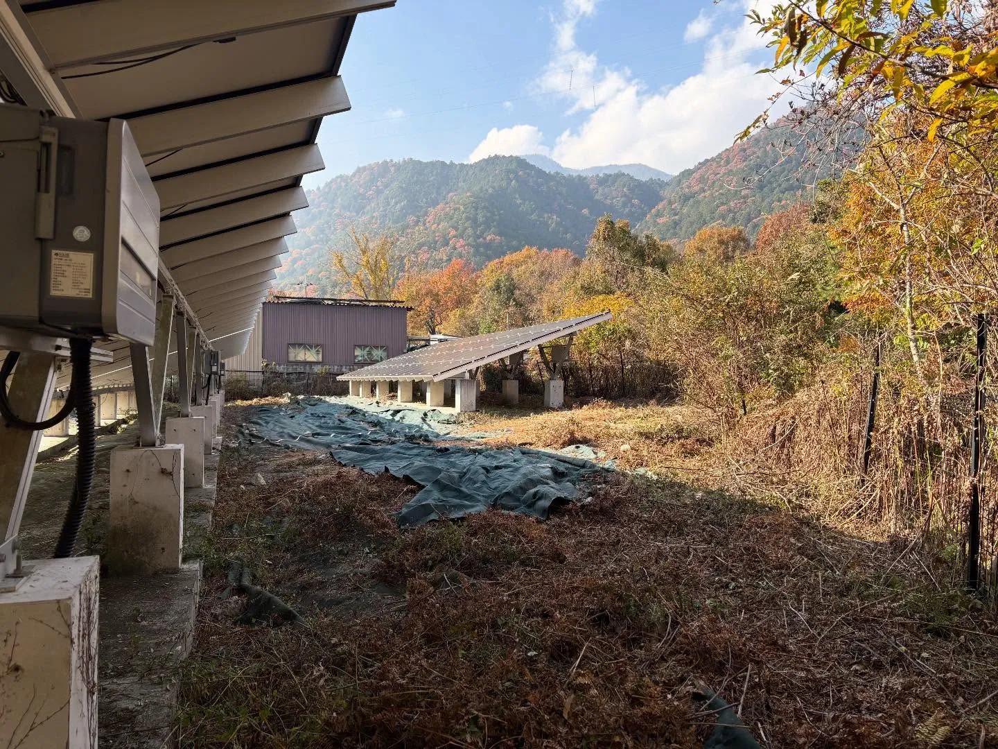 皆様、お疲れ様です😊。