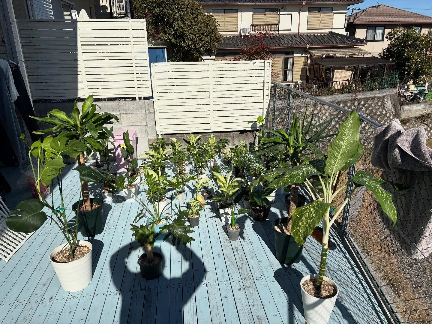 お疲れ様です🌿少し暖かくなりましたね🌞