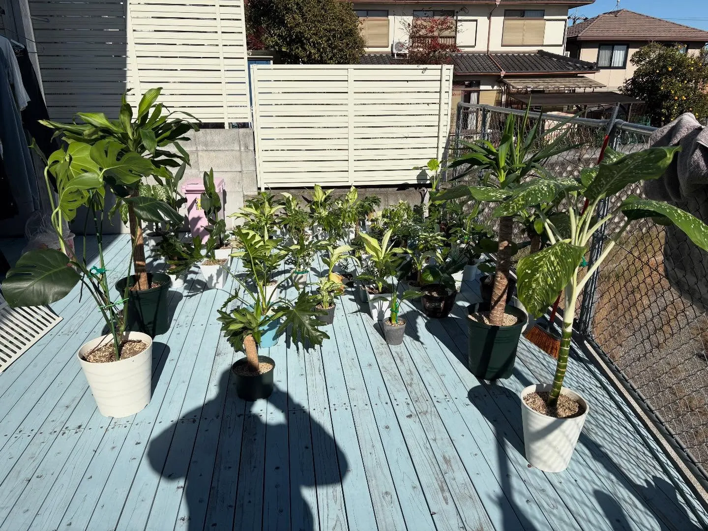 お疲れ様です🌿少し暖かくなりましたね🌞