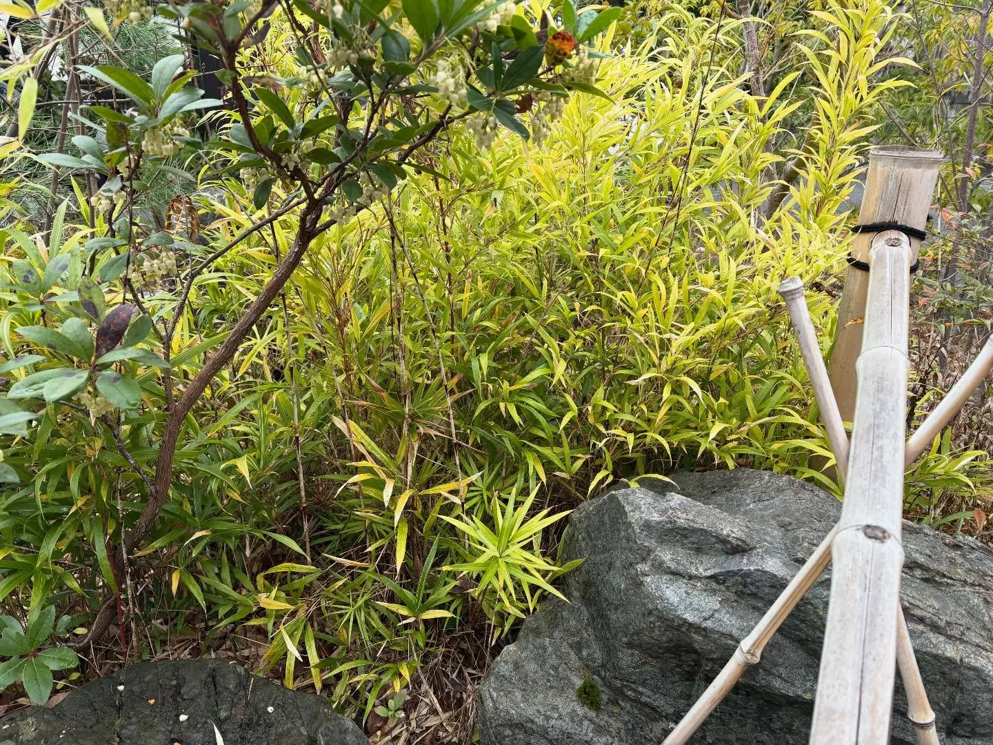 お疲れ様です！🍀y'sclean upは、本日もリピーター様...