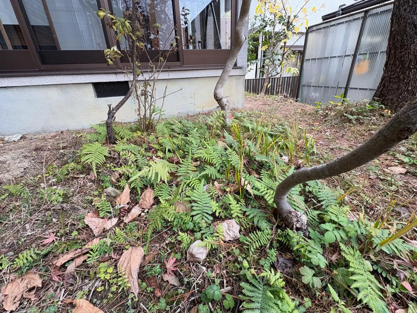 お疲れ様です！🍀y'sclean upは、本日もリピーター様...