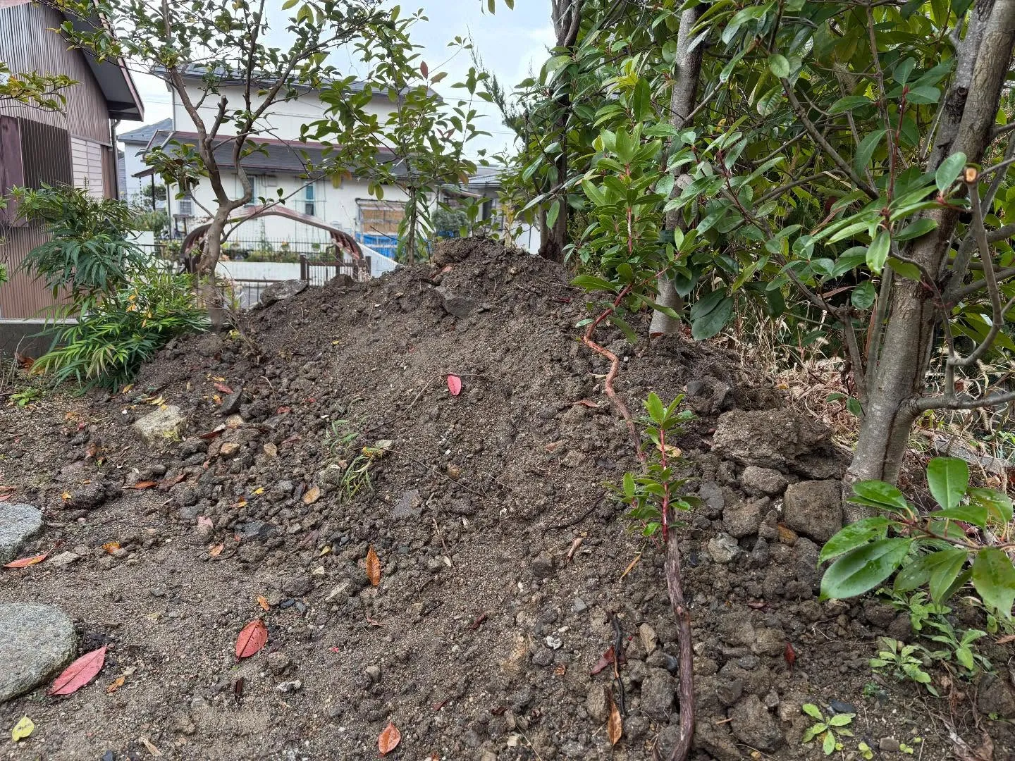 お疲れ様です！🍀y'sclean upは、本日もリピーター様...