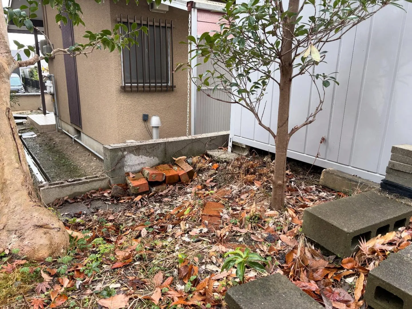 お疲れ様です！🍀y'sclean upは、本日もリピーター様...