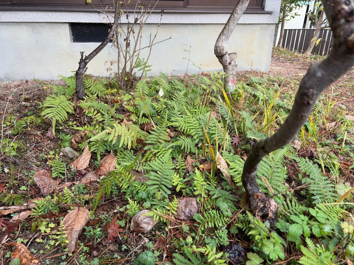 お疲れ様です！🍀y'sclean upは、本日もリピーター様...