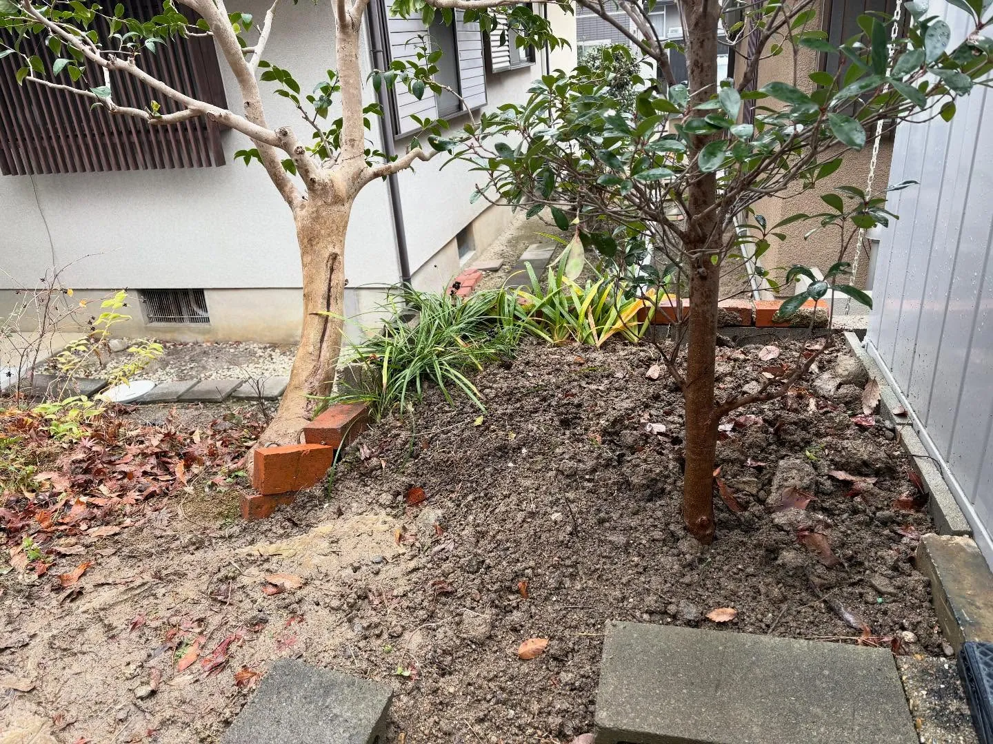 お疲れ様です！🍀y'sclean upは、本日もリピーター様...