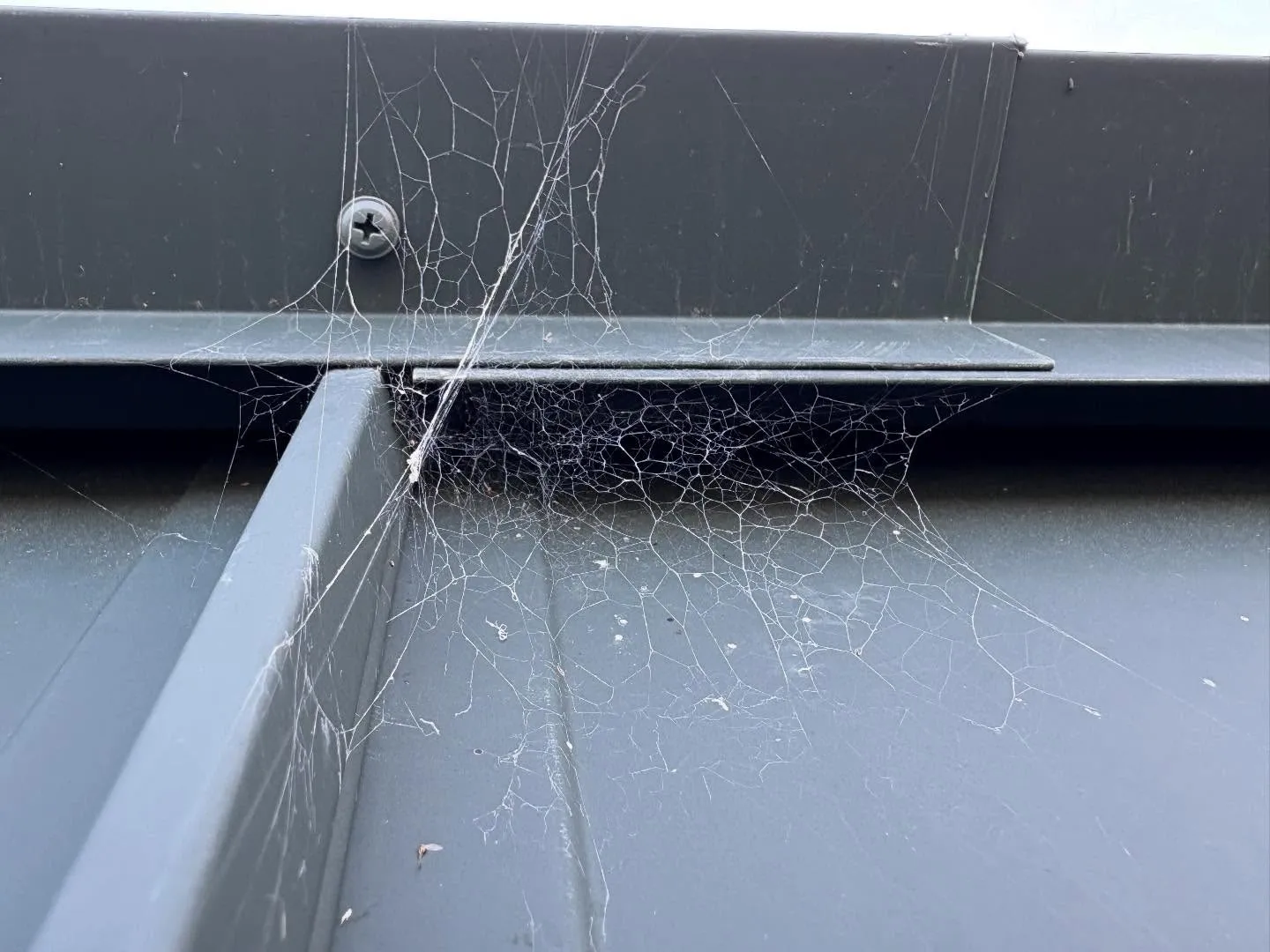 お疲れ様です。