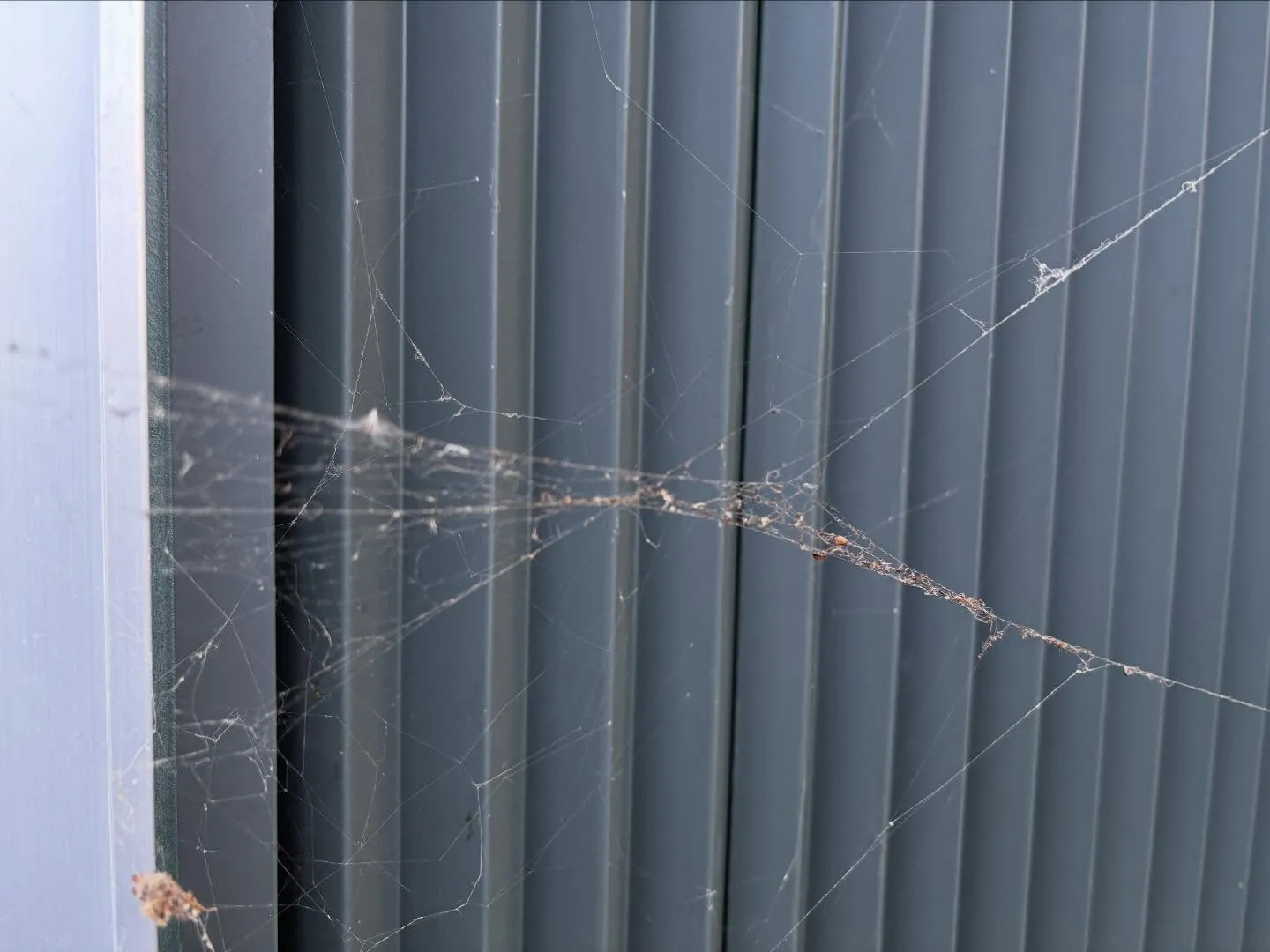 お疲れ様です。