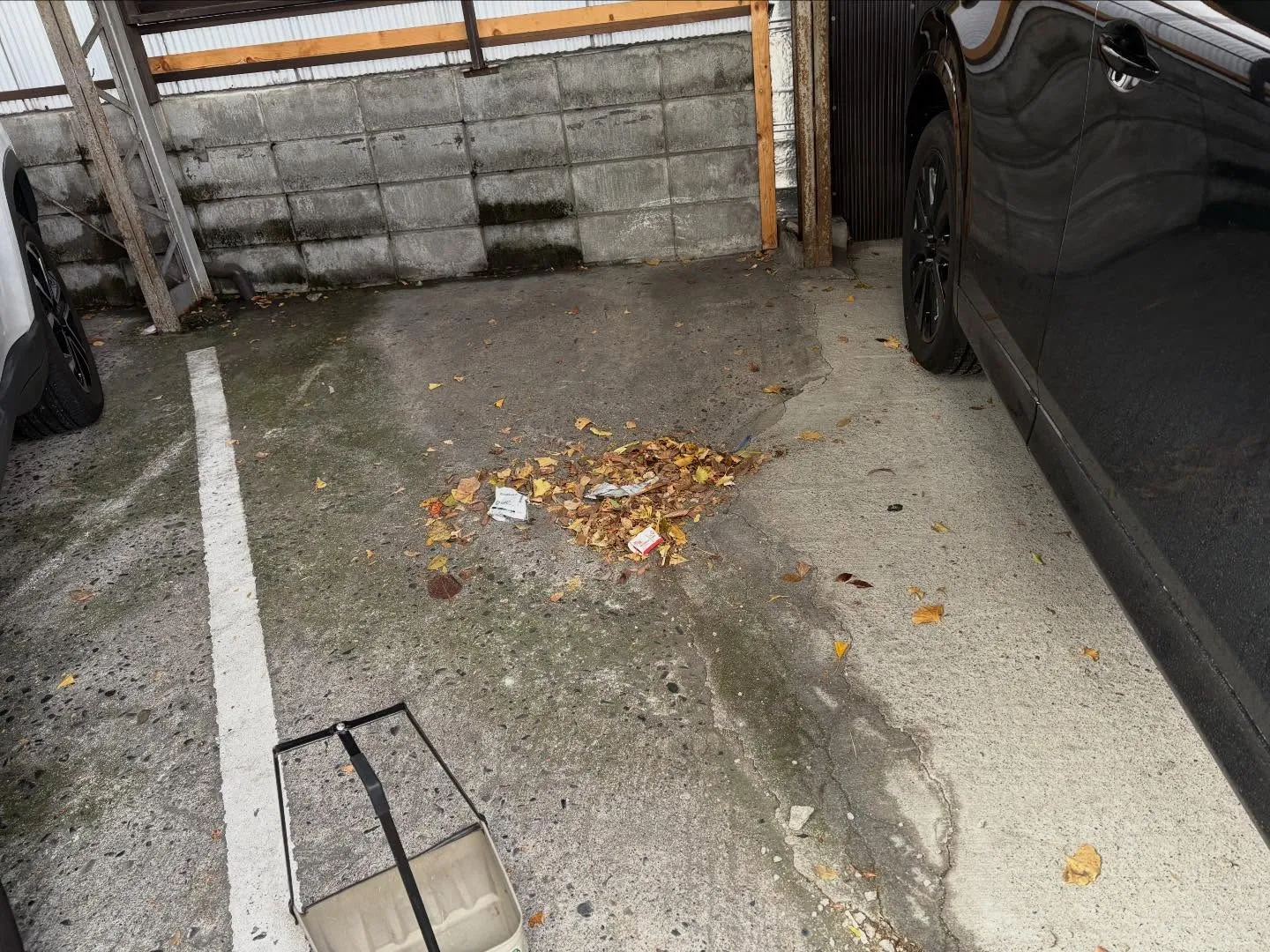 お疲れ様です🌟 冷え込みましたね❄️