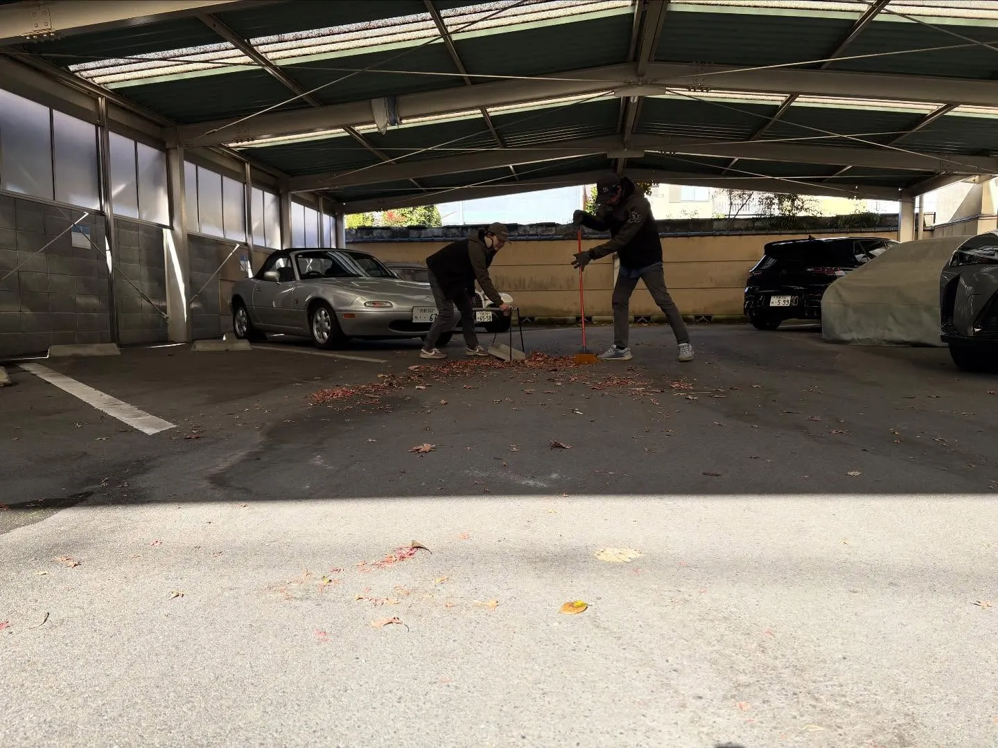 お疲れ様です🌟 冷え込みましたね❄️