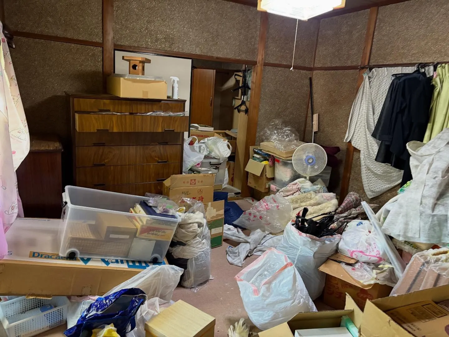 あけましておめでとうございます🎍