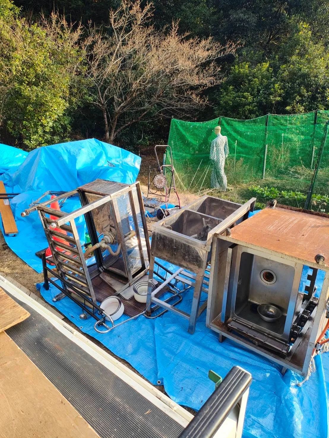 お疲れ様です🍀寒い日が続いていますね☃️