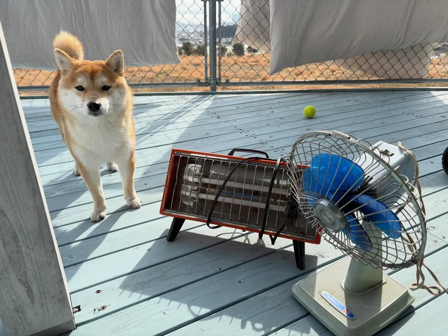 お疲れ様です♪今日は本当に気持ちの良い暖かい日ですね☀️