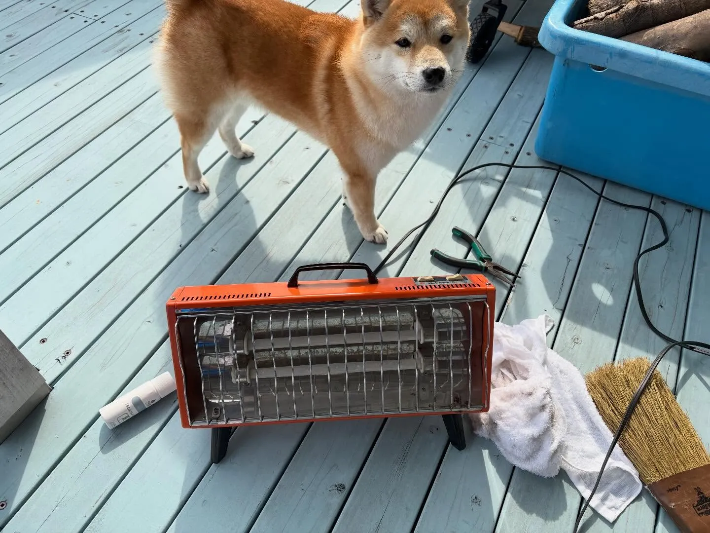 お疲れ様です♪今日は本当に気持ちの良い暖かい日ですね☀️