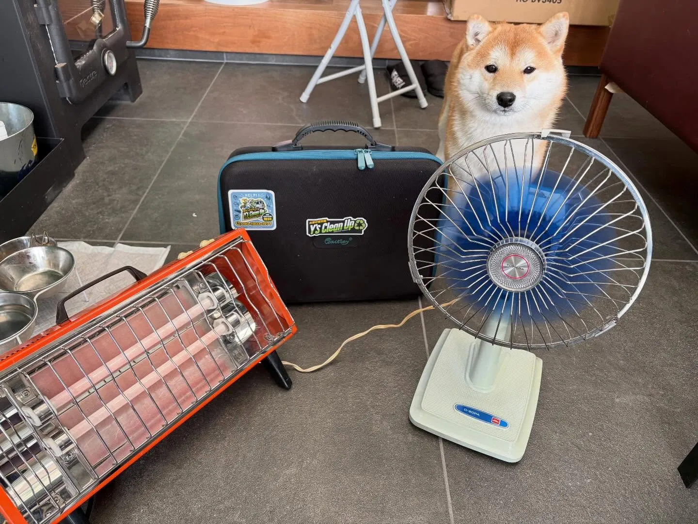 お疲れ様です♪今日は本当に気持ちの良い暖かい日ですね☀️