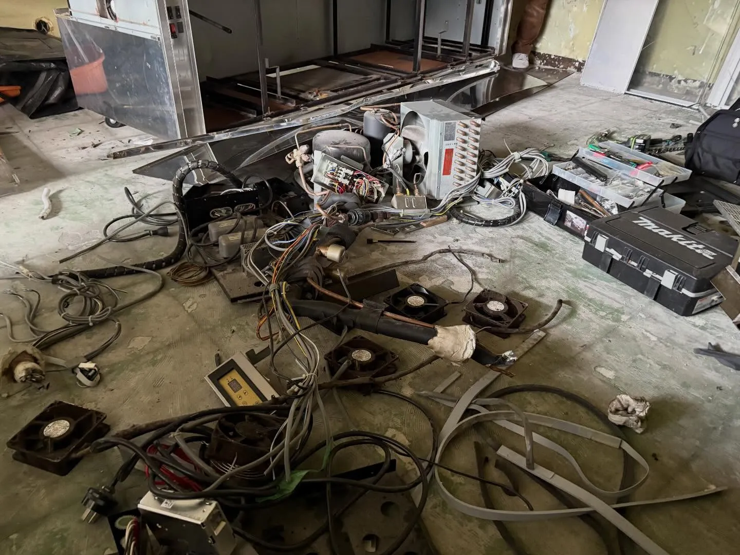 お久しぶりです😊y'sclean upは元気に活動中です!