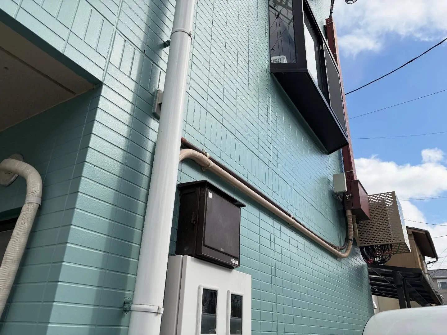 良いお天気が続き、春の訪れが近づいているようですね🌸