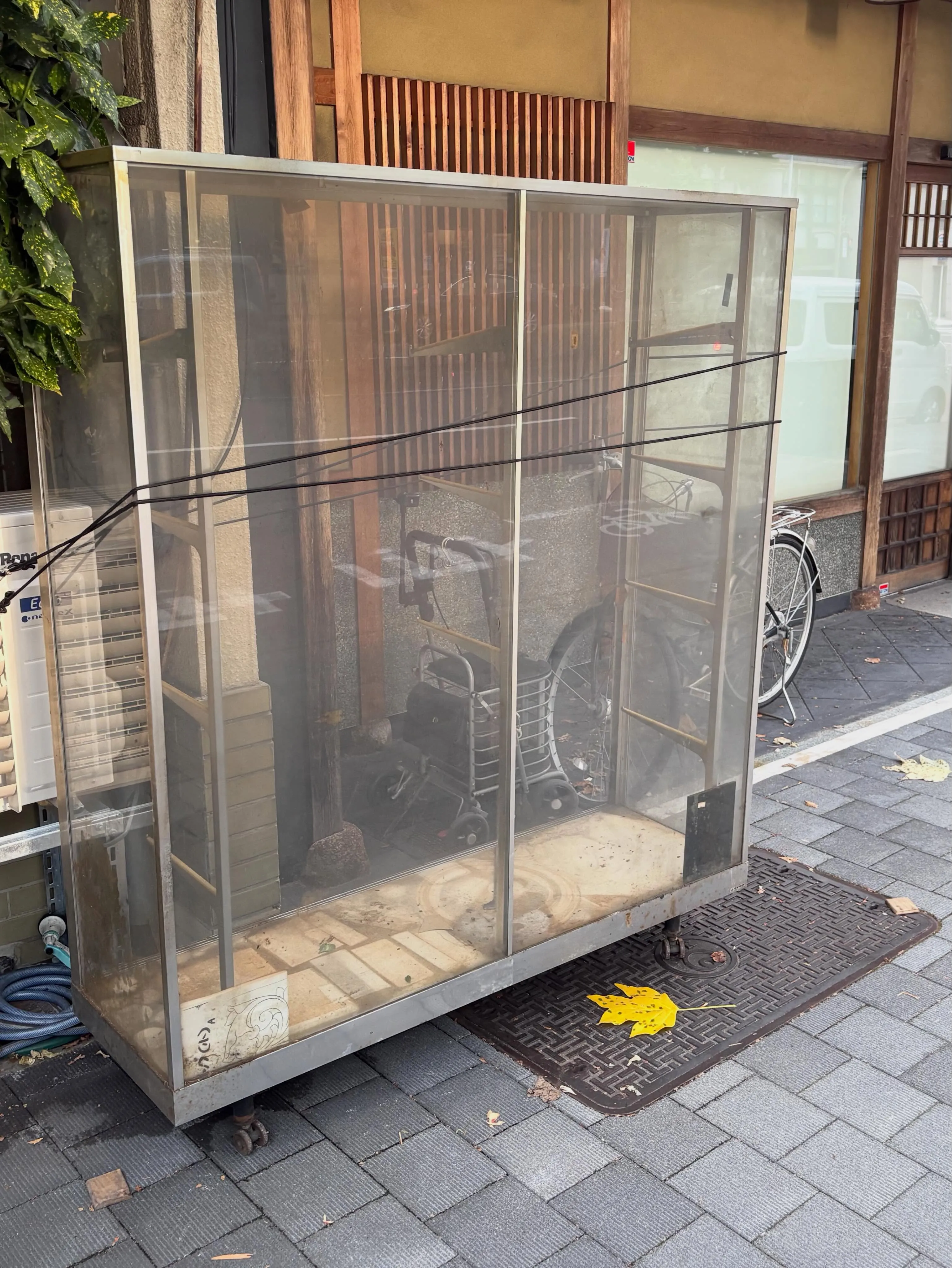私たちy'sclean up、本日も暮らしのサポートに精を出...