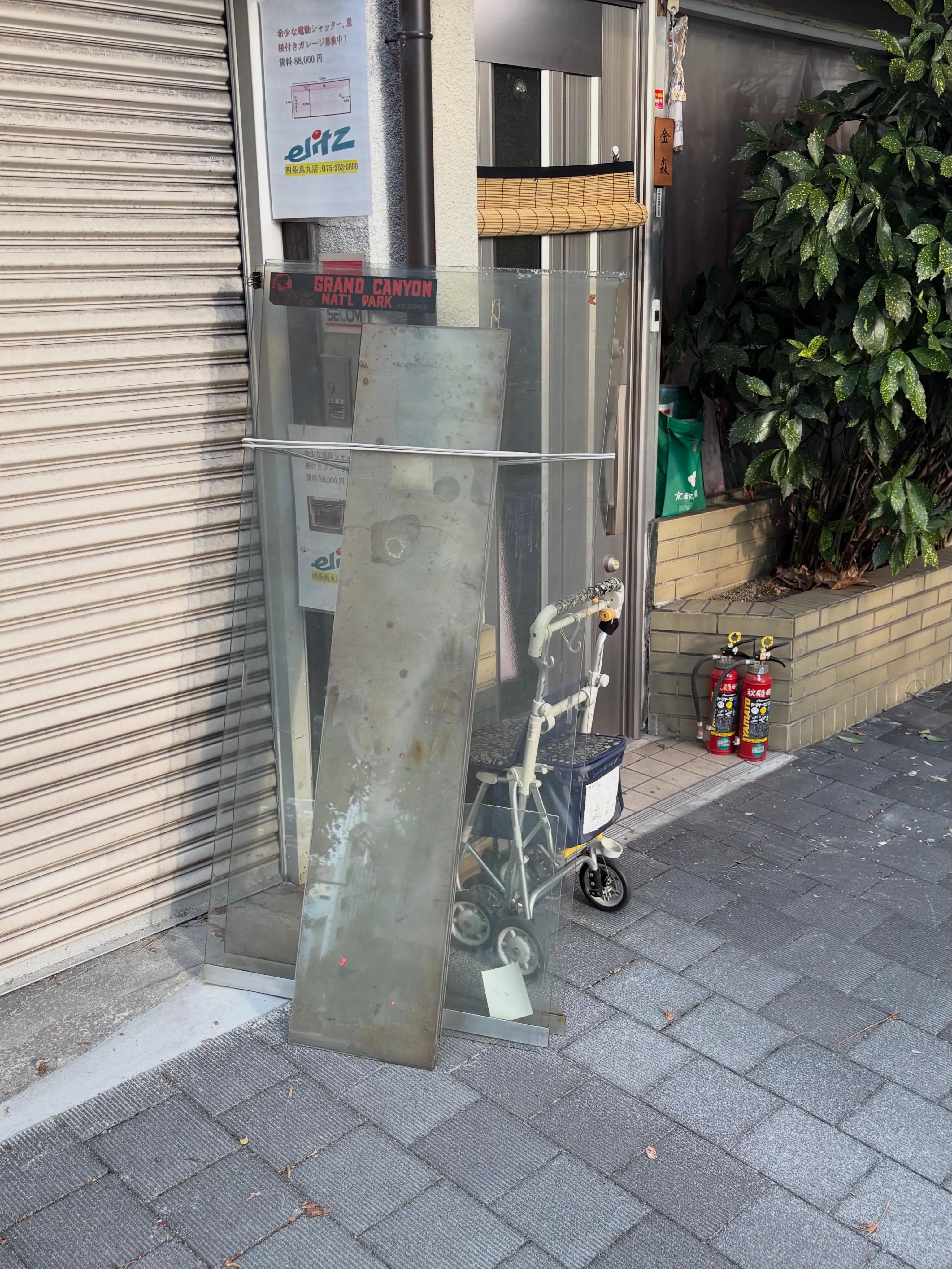 私たちy'sclean up、本日も暮らしのサポートに精を出...